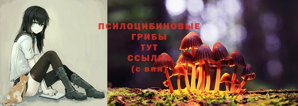 ALPHA-PVP Алексин