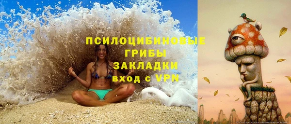 мяу мяу мука Алзамай