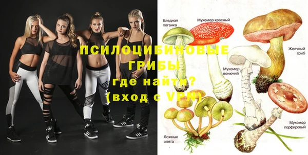 мяу мяу мука Алзамай