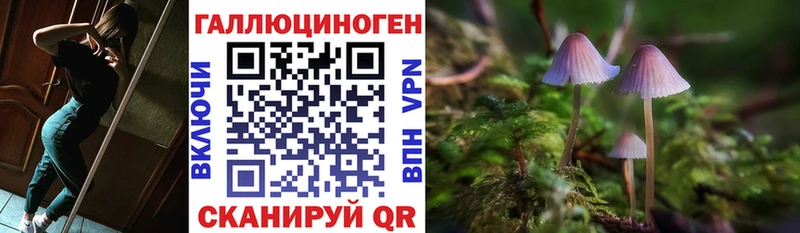 Псилоцибиновые грибы GOLDEN TEACHER Петрозаводск